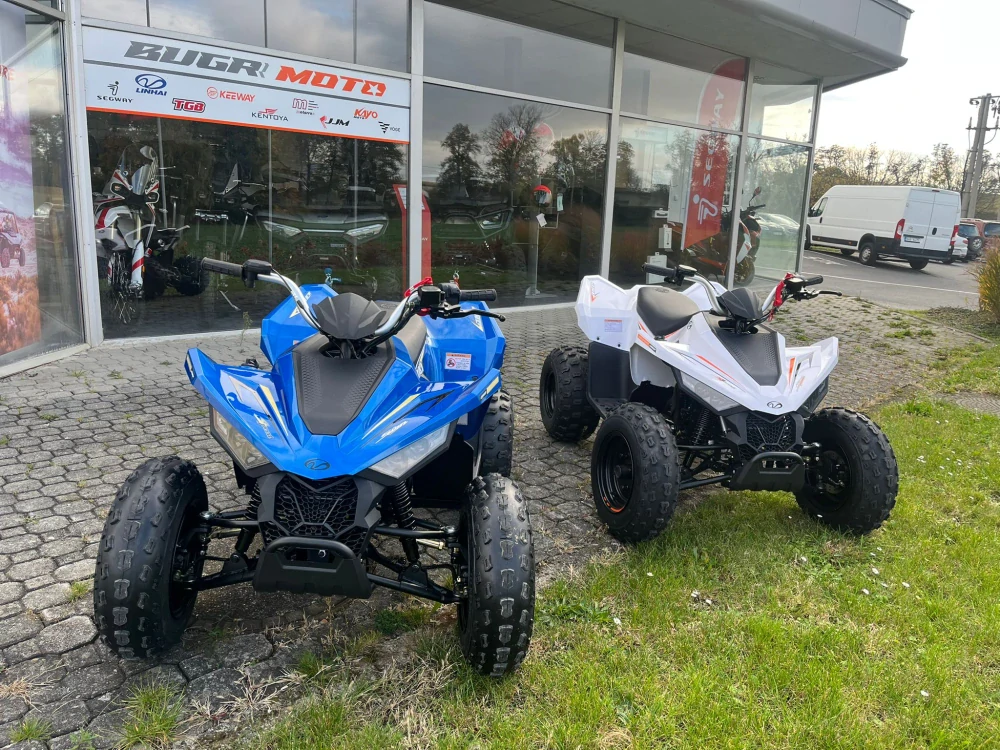 Linhai ATV 110 2X4 EFI CE